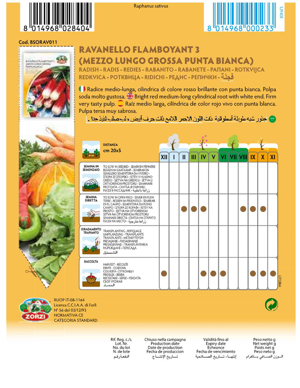 Product image: Zorzi bsorav011 repanaki dixromo, , medium-null