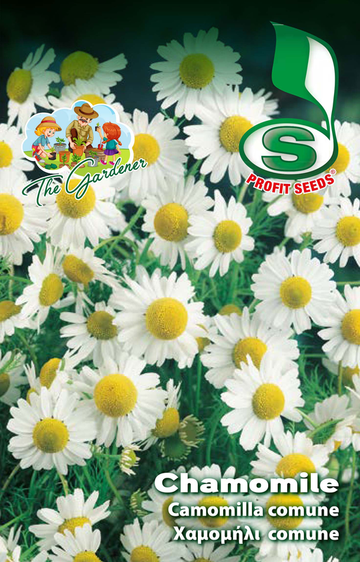 Product image: Hb chamomile 1gr, , medium-null
