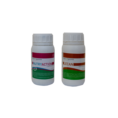 Lecan 0,25l, , medium