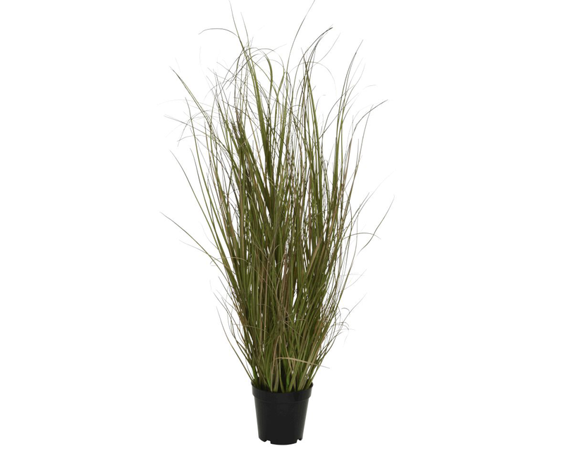 Grass in pot, , medium-null