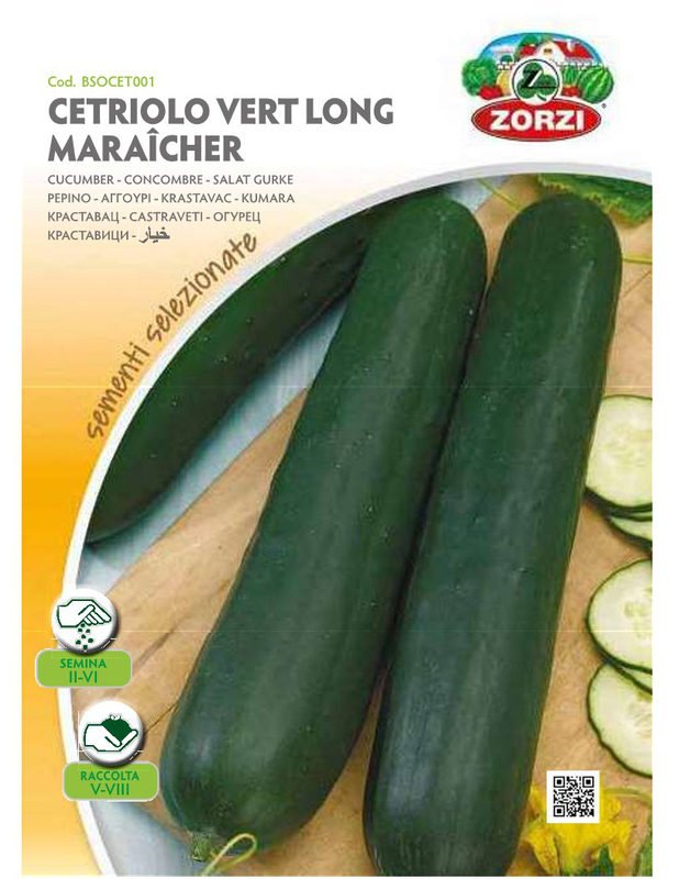 Zorzi bsocat001 cucumber seeds, , medium image number null