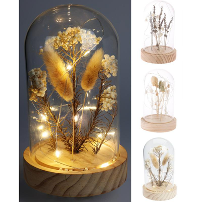 Decorative dome with dry flowers 17cm - assorted designs