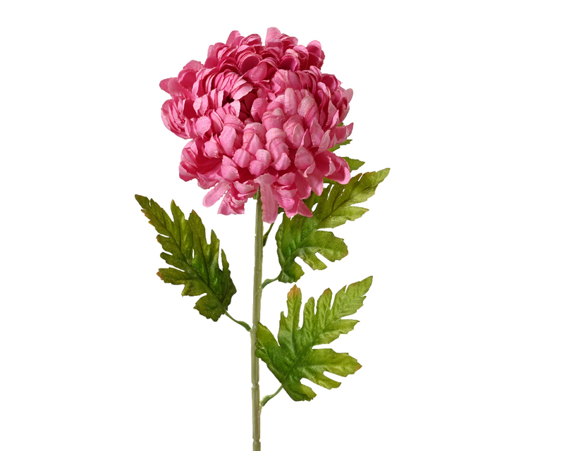 Chrysanthemum on stem pink, , medium-null