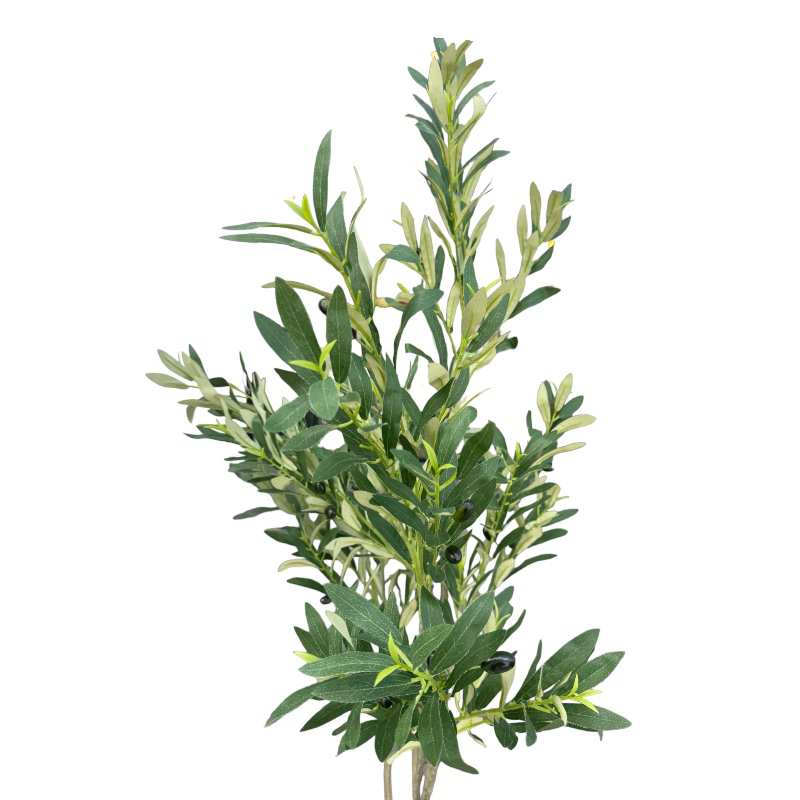 Olive tree - 150 cm, , medium image number null