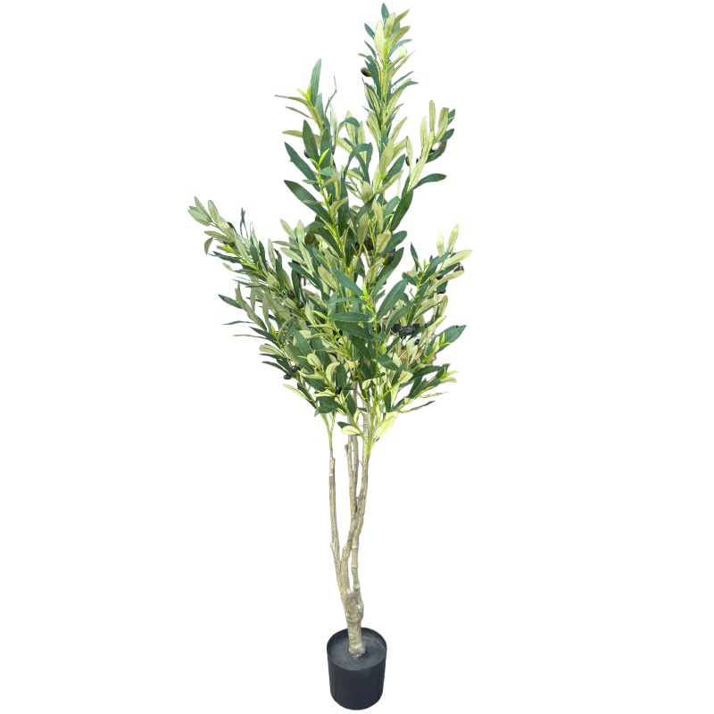 Olive tree - 150 cm, , medium image number null