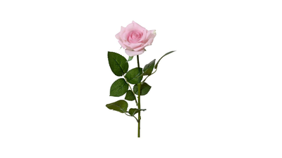 Rose rose on stem polyester real touch, , medium