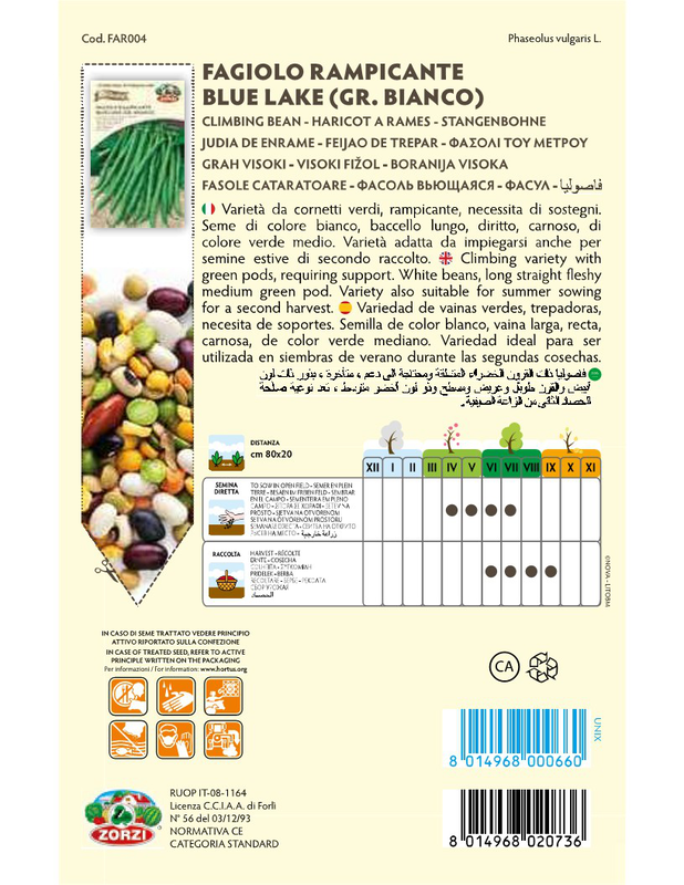 Product image: Zorzi far0040TB 250gr fasolaki an, , medium-null