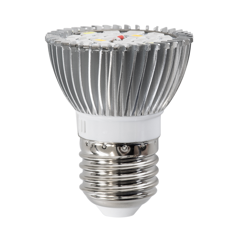 Product image: Globostar® gls-79691, , medium-null
