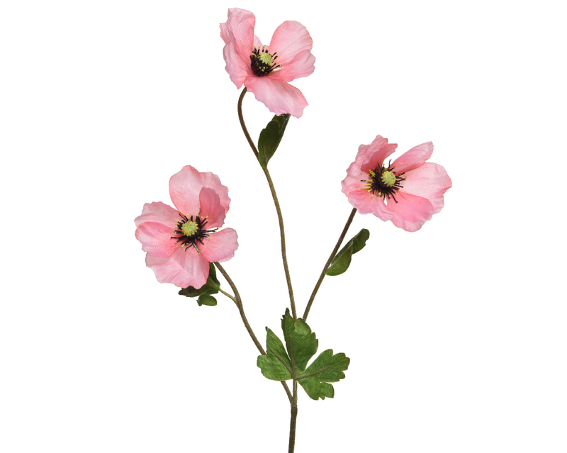 Poppy flower pink, , medium-null