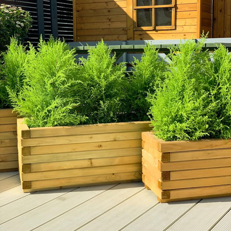 Showood &xi;&upsilon;&lambda;&iota;&nu;&eta; &omicron;&rho;&theta;&omicron;&gamma;&omega;&nu;&iota;&alpha; &gamma;&lambda;&alpha;&sigma;&tau;&rho;&alpha; 33x40x90cm, , medium-null