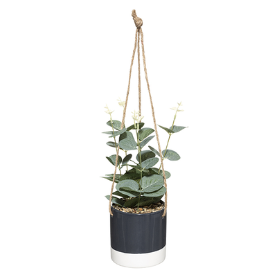 Atmoshera 179243 hanging plant ceramic pot assorted, , medium