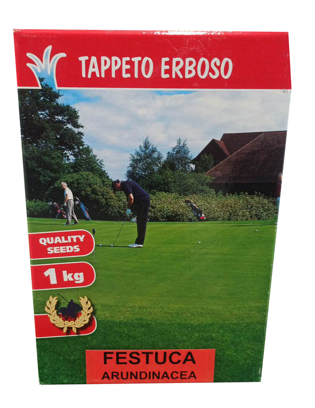 Festuga arundinacea titan 1kg, , medium image number null