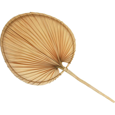 Decorative palm leaf fan 40x82cm