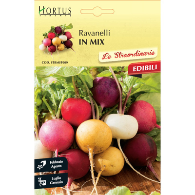 Zorzi straordinarie seed beetroot 2.5gr, , medium