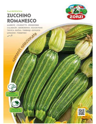 Zorzi bsozuc014 κολοκυθακι πρασινο, , medium