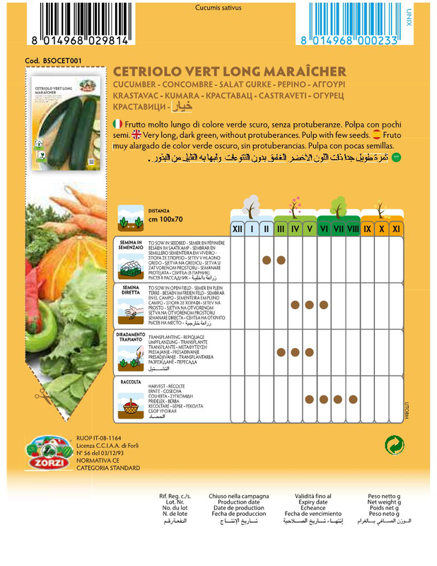 Zorzi bsocat001 cucumber seeds, , medium image number null