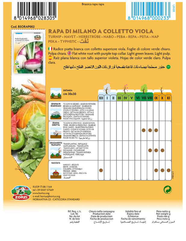 Zorzi bsorap002 reva dixromi, , medium-null