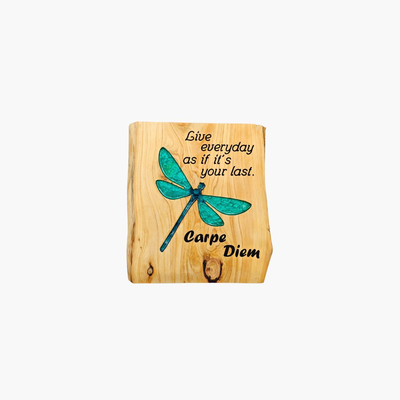 Carpe diem dragonfly wall art, , medium
