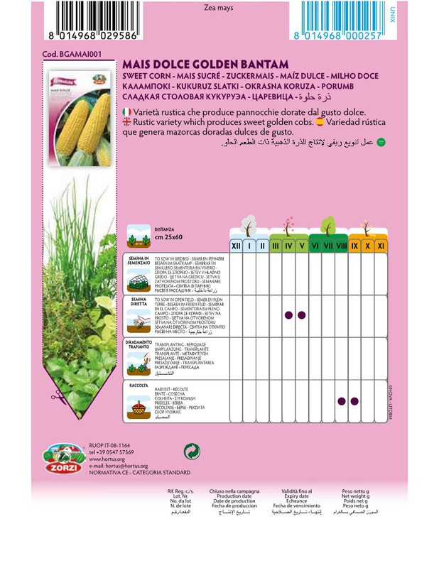 Product image: Zorzi bgamai001 kalampoki gliko, , medium-null