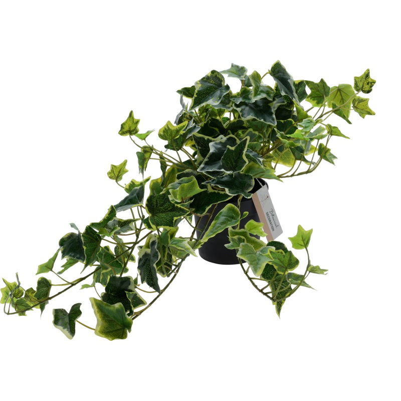 Hanging plant in pot 80cm - assorted designs, , medium-null