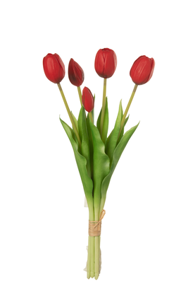 Bouquet tulips 5pcs red, Red, medium