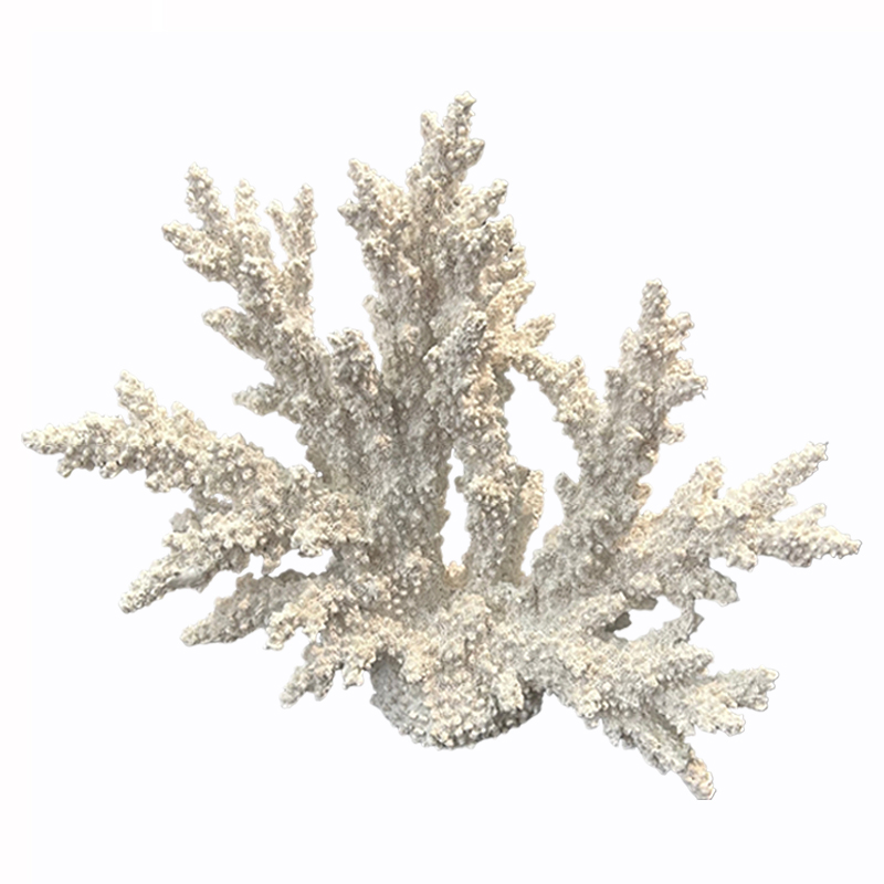 Resin decorative white sea tree coral, , medium-null