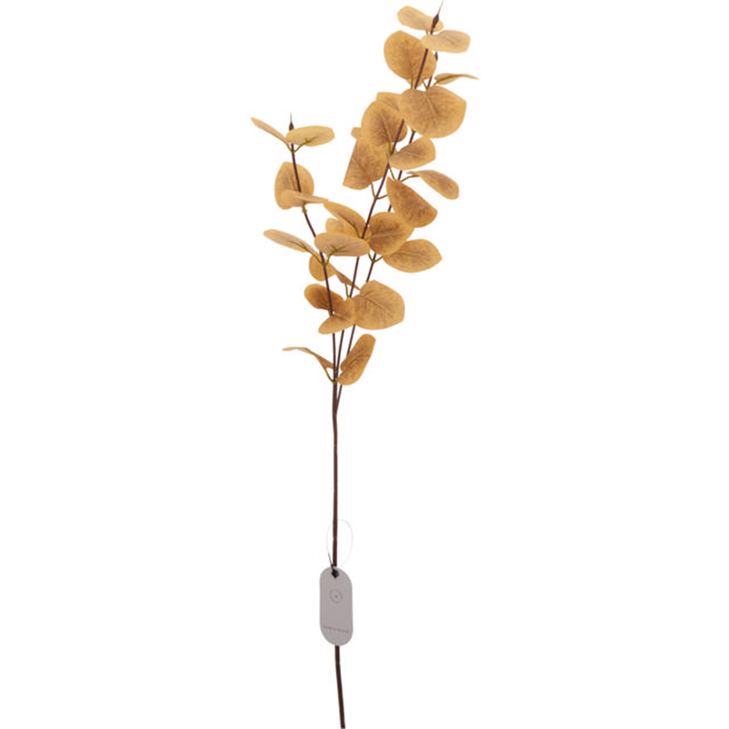 &Epsilon;&upsilon;&kappa;&alpha;&lambda;&upsilon;&pi;&tau;&omicron;&sigmaf; 85cm - &delta;&iota;&alpha;&phi;&omicron;&rho;&alpha; &chi;&rho;&omega;&mu;&alpha;&tau;&alpha;, , medium-null
