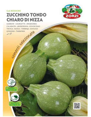 Zorzi bsozuc002 kolokithaki aspro