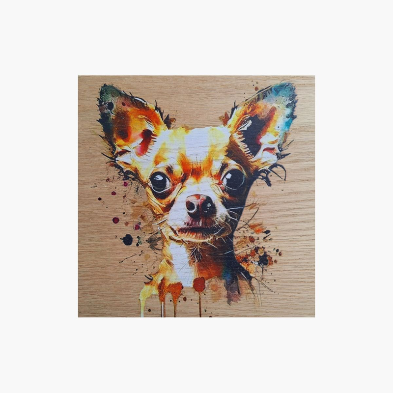 Chihuahua splash art print on wood, , medium-null