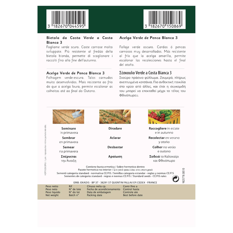 Vilmorin swiss chard 5gr, , medium image number null