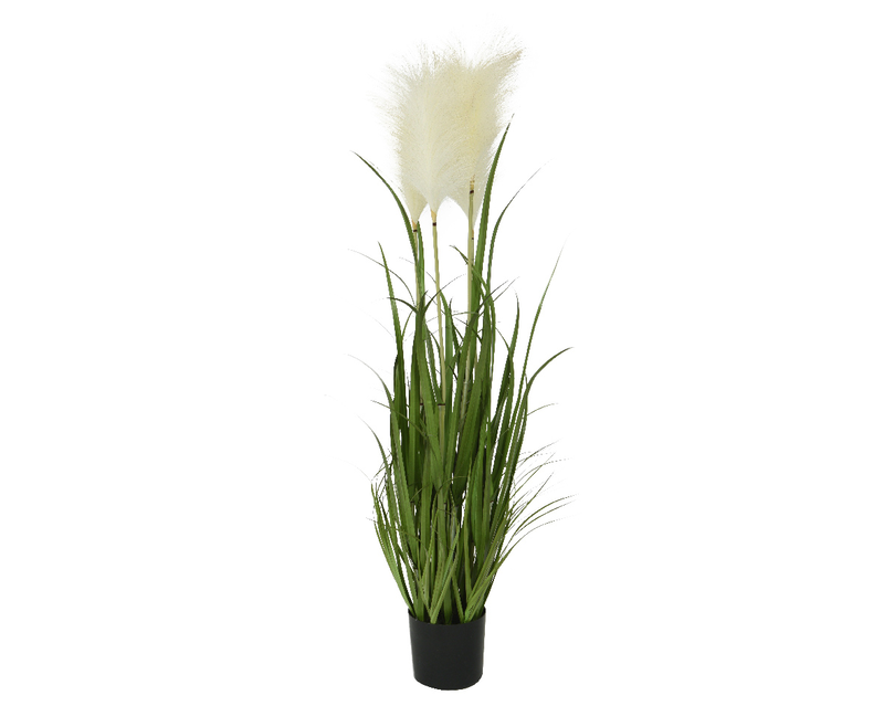 Grass pampas small, , medium-null