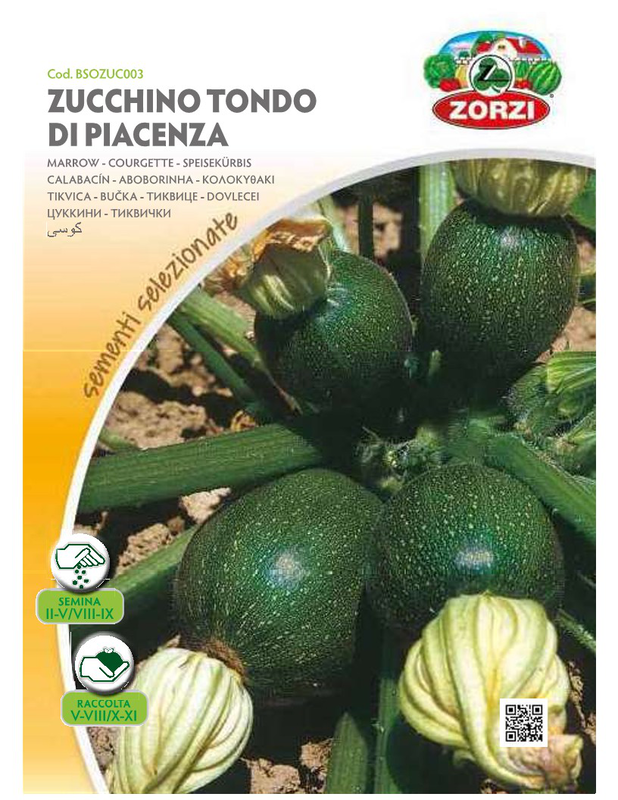 Zorzi bsozuc003 kolokithaki mavro, , medium-null