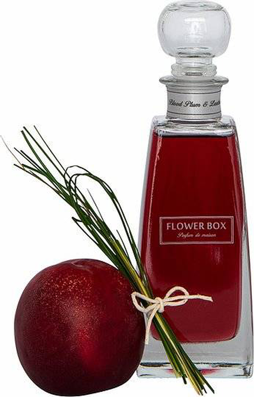 Mini diffuser - blood plum & leather 200ml perfume, , medium image number null