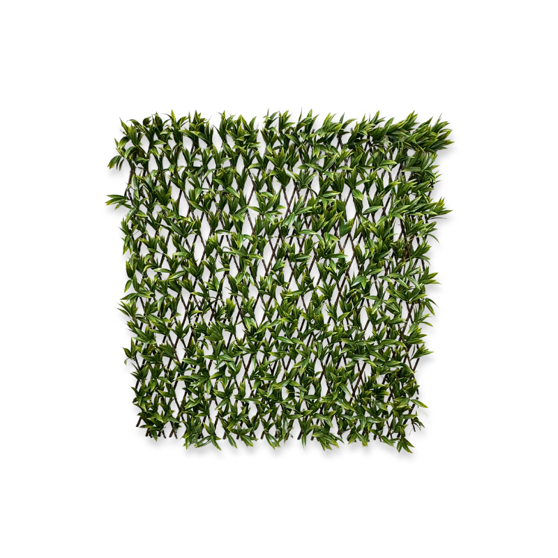 Expandable wooden fence green plant 120x120cm - 80x270cm, , medium-null