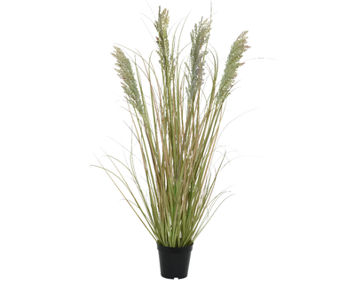 Grass in pot, , medium