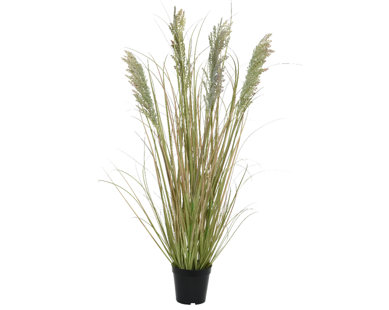Grass in pot, , medium-null