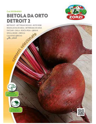 Zorzi bsobar001 παντζαρι