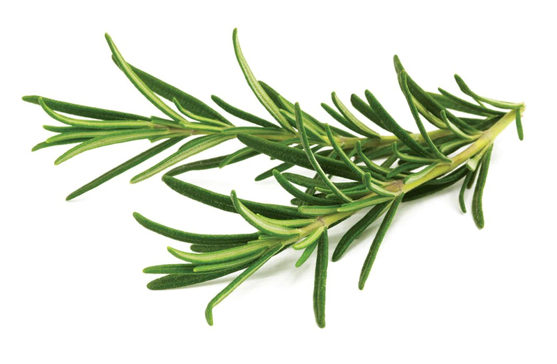Click & grow sgr51x3 rosemary plant pods 3pcs, , medium image number null