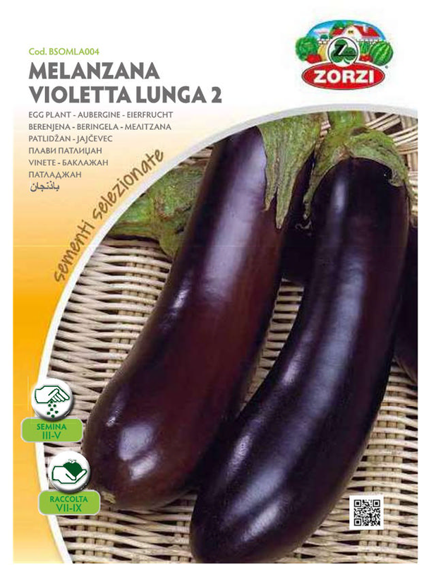 Zorzi bsomla004 melitzana mavri, , medium-null