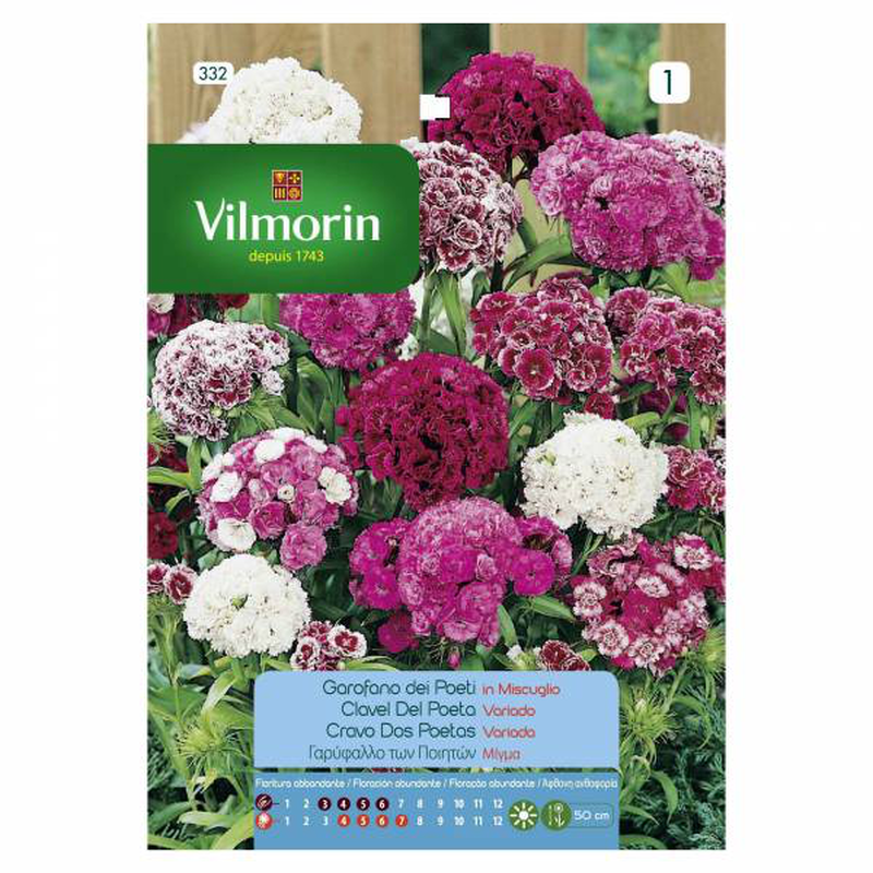 Product image: Vilmorin φραγκογαρυφαλλο διπλο μιγμα, , medium-null