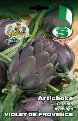 Artichoke violet de provence 4, , medium