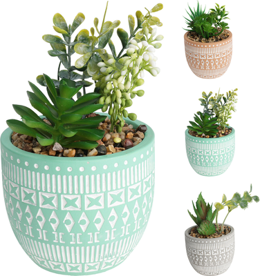 Plant in cement pot 15cm 3 assorted designs