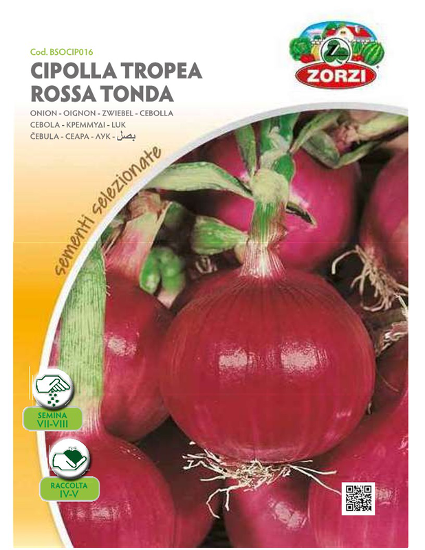 Product image: Zorzi bsocip016 kremmidi kokkino, , medium-null