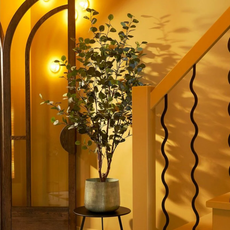 Product image: Mica eucalyptus tree in pot h120xd55cm, , medium-null