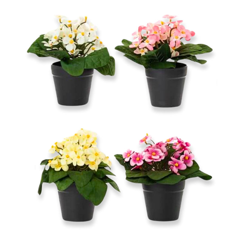 Ai artificial daisy flowers in plastic pot 20cm (available in 4 colours)-null
