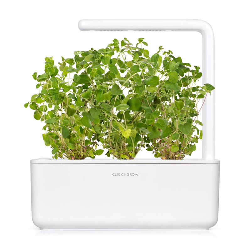 Click & grow sgr31x3 oregano plant pods 3pcs, , medium image number null