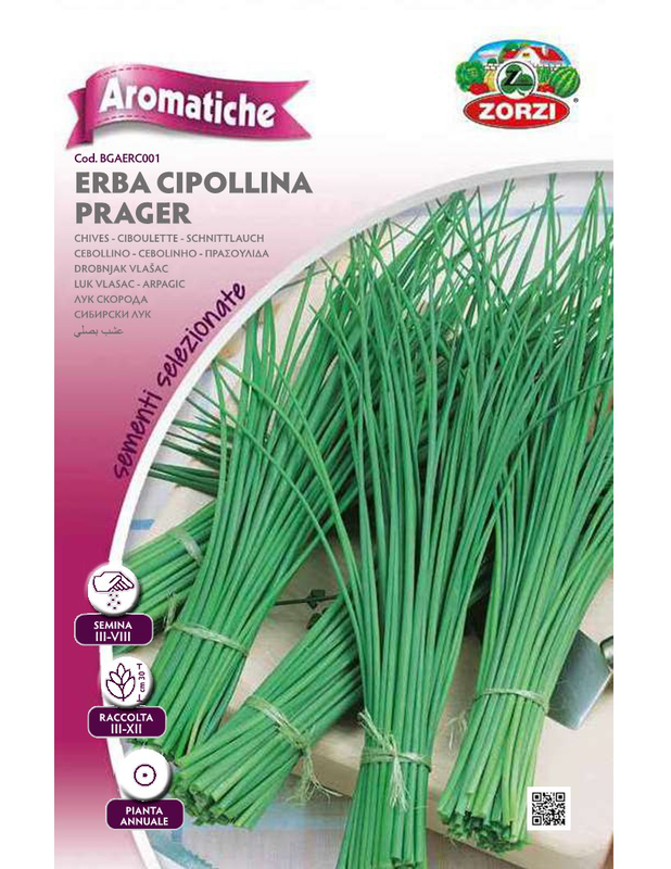 Product image: Zorzi bgaeco001 πρασουλιδα, , medium-null