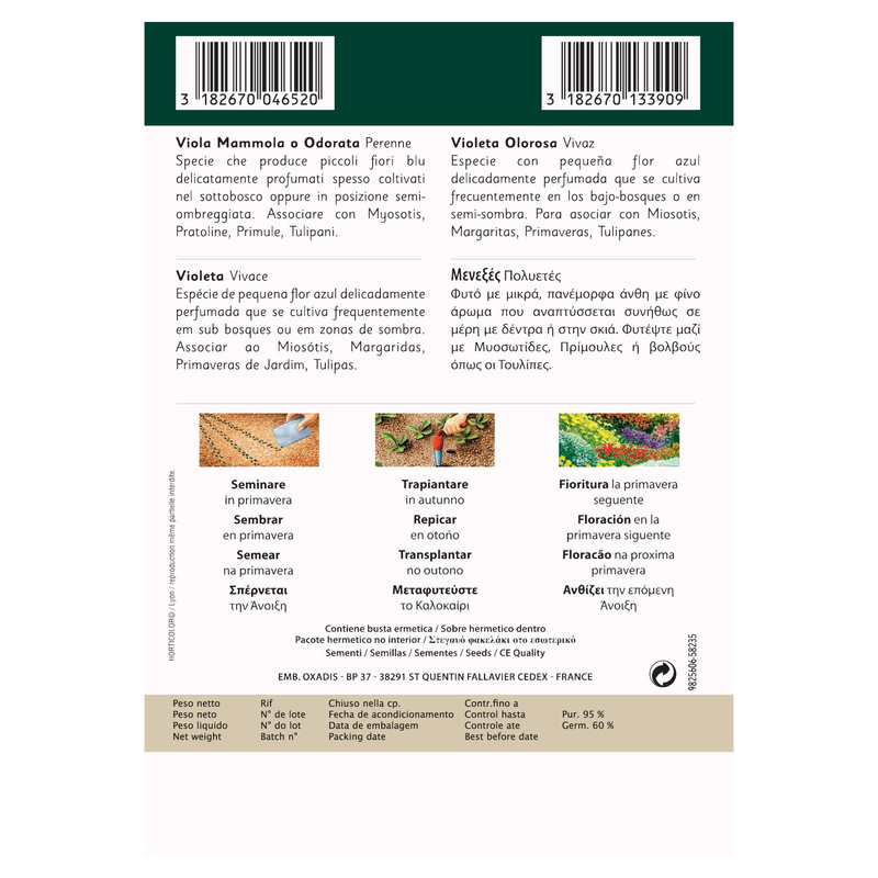 Vilmorin μενεξες, , medium-null