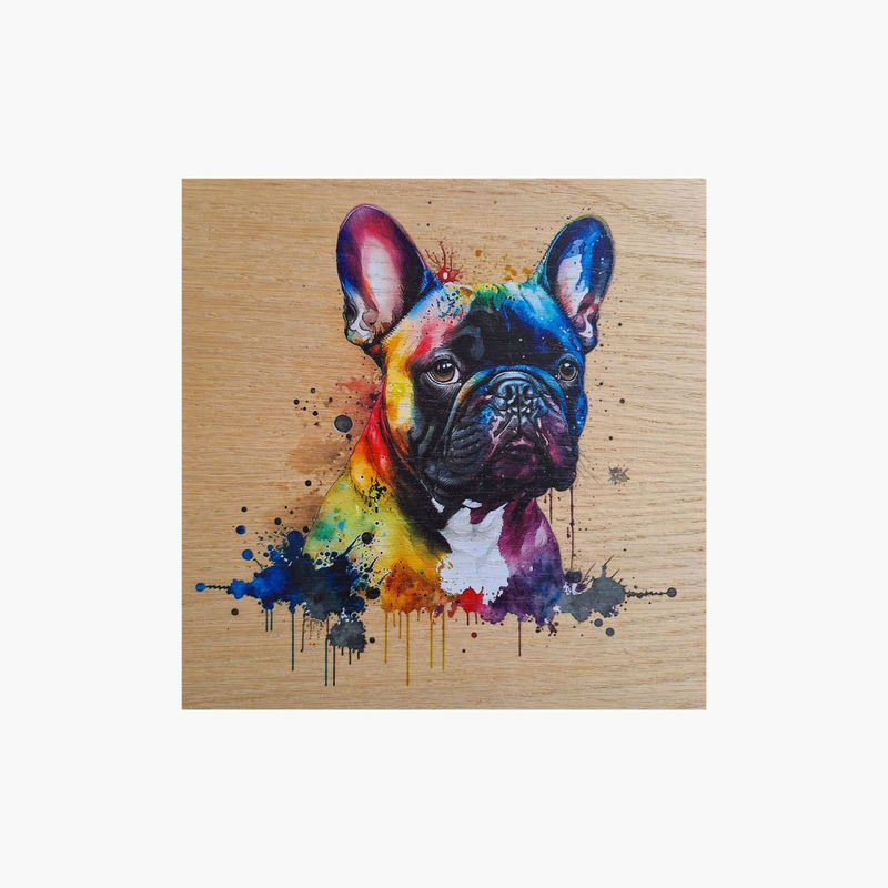 French bulldog splash art print on wood, , medium-null