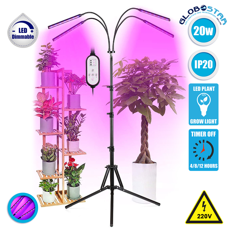 Product image: Globostar® gls-85956, , medium-null